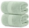 2 Pack Luxury Bath Sheet Towels Extra Large Highly Absorbent Bathroom Towel 35x70 Inch Mint Green